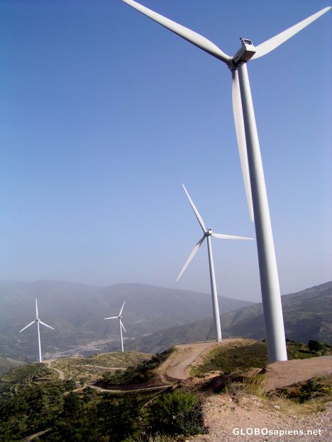 Postcard Wind Machines