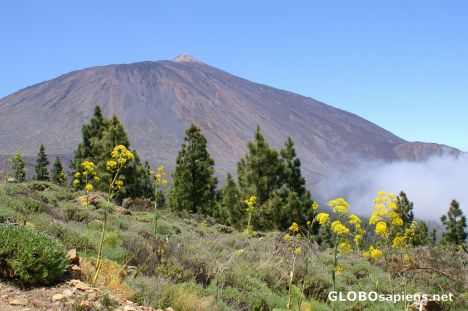 Postcard Pico del Teide