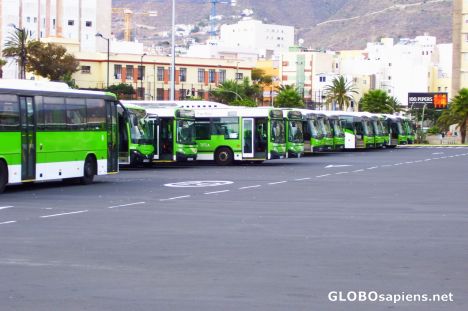 Postcard Titsa buses