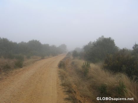 Mist before reaching Santa Marta de Tera
