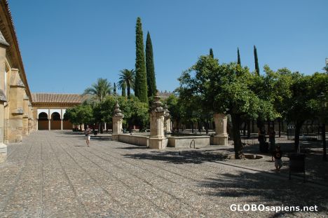 Postcard Mezquita's courtyard in Cordoba.