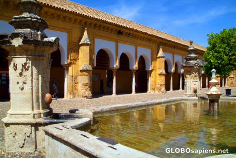 Postcard Cordoba, Andalusia - Mezquita courtyard's pool
