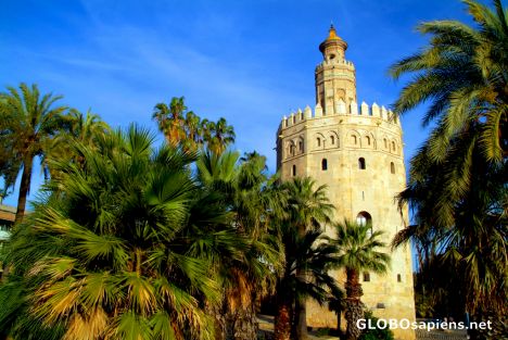 Sevilla, Andalusia - torre