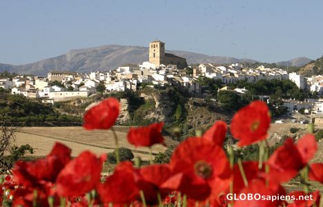 Postcard Alhama de Granada with Poppies