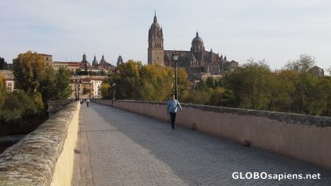 Postcard Cathedral in Salamanca from Roman Bridge