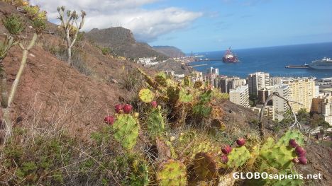 Postcard Tenerife port
