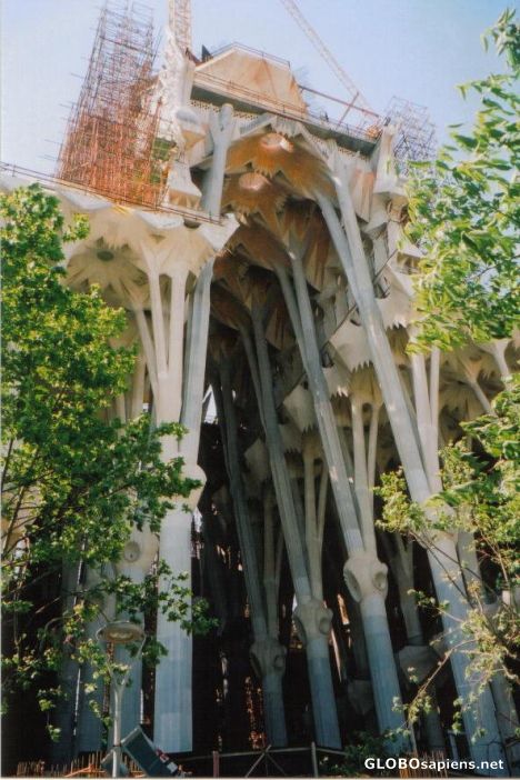 Postcard La Sagrada Familia - Side View
