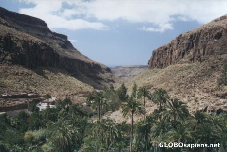 Postcard canyon