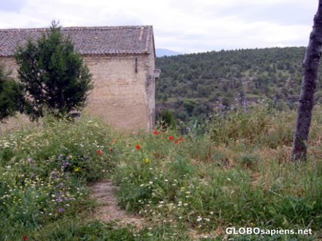 Postcard Pedraza de la Sierra, Segovia -wild flowers
