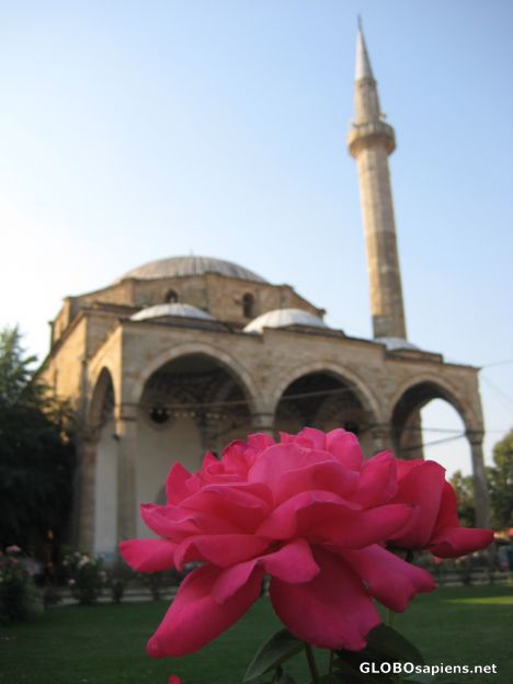 Postcard Flower in the main mosque of Pristina (Kosovo)