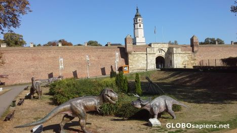 Postcard Dinosaurs in front of the castle