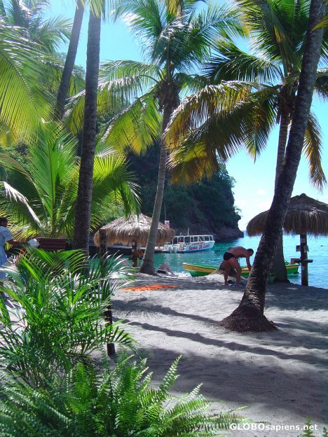 Postcard Anse Chasanet - St Lucia's best snokelling
