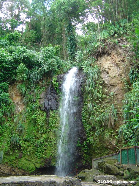 Postcard St Lucia Waterfall