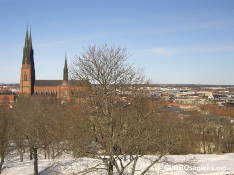 Postcard Uppsala Domkyrkan