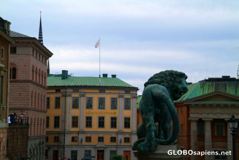 Postcard Stockholm (SE) - Lion at the Palace