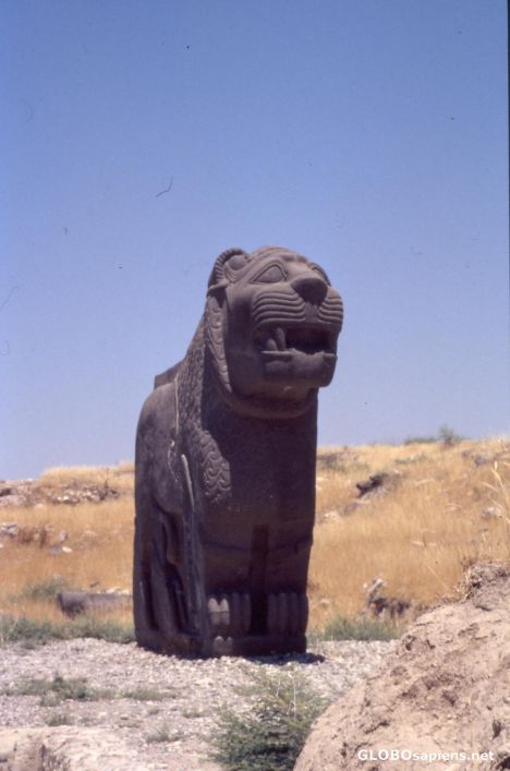 Postcard The lion, protecting the entrance to Ain Dara