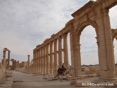 Postcard Archs avenue in Palmyra.