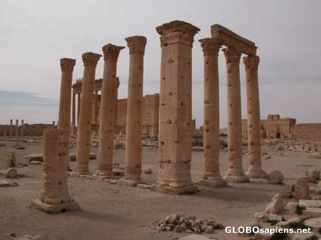Postcard Columns in Palmyra.