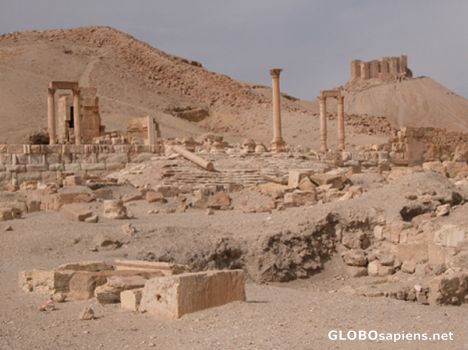 Postcard Ruins of Palmyra.