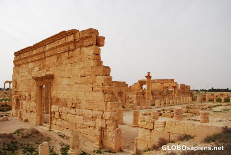 Postcard Agora in Palmyra