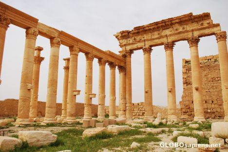 Postcard Columns around Temple of Bel