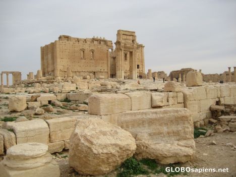 Postcard Palmyra