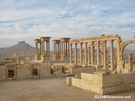 Postcard Palmyra
