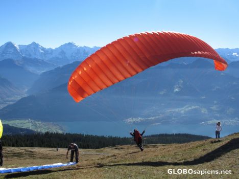 Postcard paragliders paradise on niederhorn