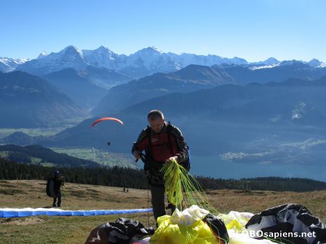Postcard paragliders paradise on niederhorn