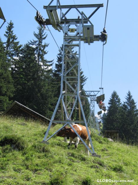 Postcard chairlift to oeschinensee