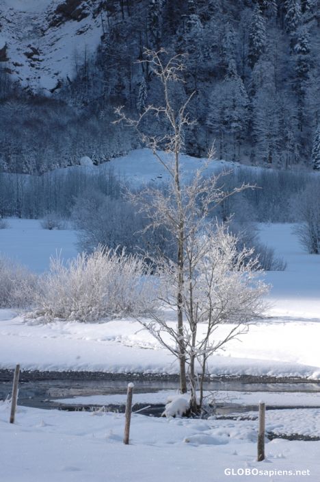 Postcard winter landscape