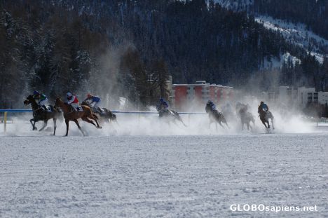 Postcard White turf - Horse races on the frozen lake