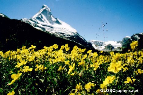 Postcard Matterhorn