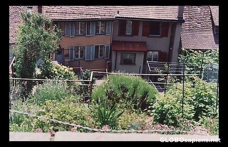 Postcard Garden in Rapperswil