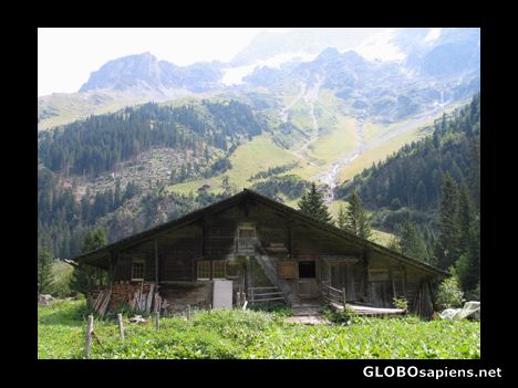 Postcard The farmingbusiness in Switzerland