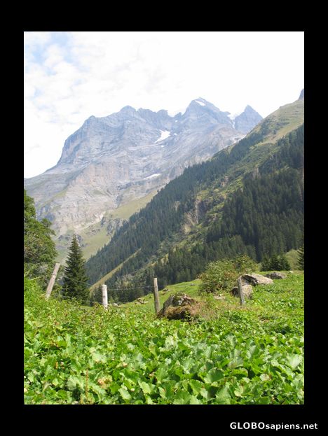 Postcard Again, rural life in Switzerland