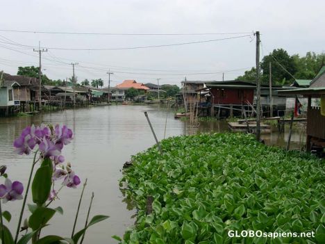 Postcard One of the Canals to villages on Koh Kret.