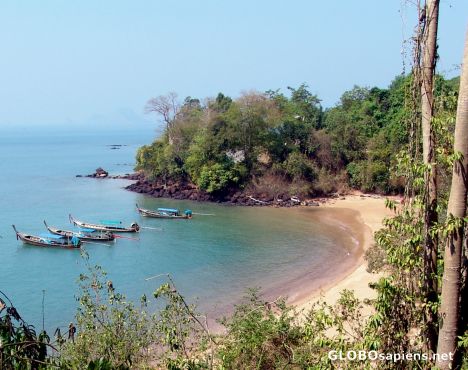 Postcard Fossil Beach, Phang Nga Province