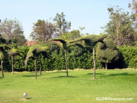 Postcard Topiary in Sofitel Hotel Gardens Hua Hin
