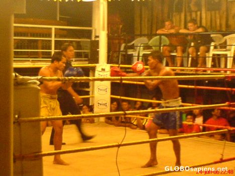 Postcard Thai Kick Boxing