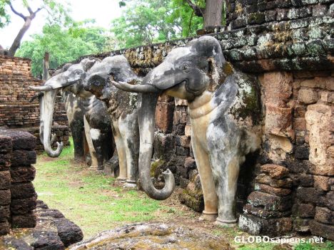 Postcard A row of Elephants on fort Phom Seti