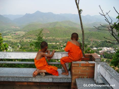 Postcard A pair of young monks in contemplation