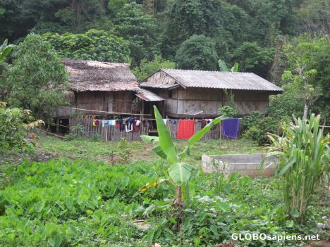 Karin Village typical Bamboo Houses border crops