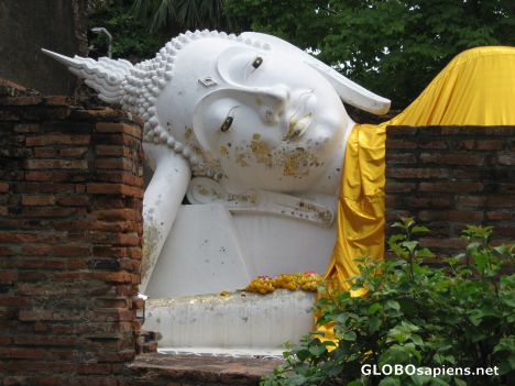 Postcard Ayuthaya Historical Park Reclining Budda