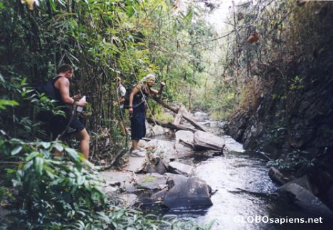 Postcard Treking in the Chiang Mai jungle.