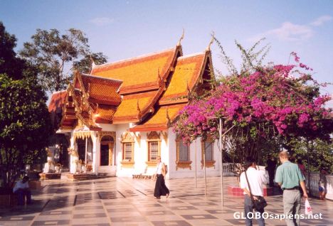 Postcard Doi Suthep Temple, Chiang Mai
