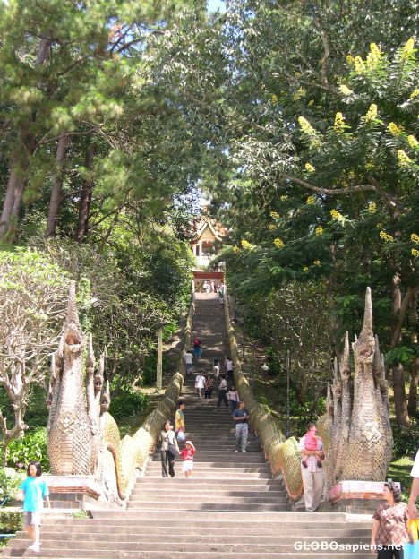 Postcard Staircase to Wat Doi Suthep