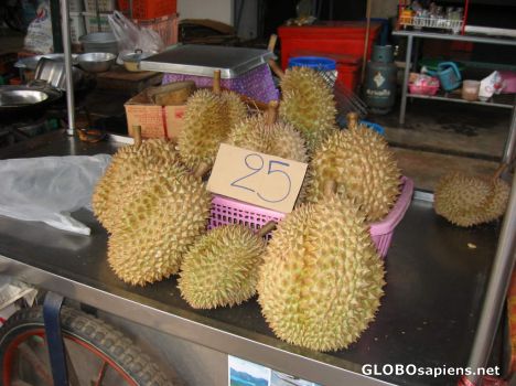Postcard The durian fruit