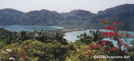 Postcard Kho Phi Phi Don island.