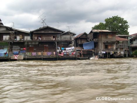 Postcard Houses along the Chao Phraya River